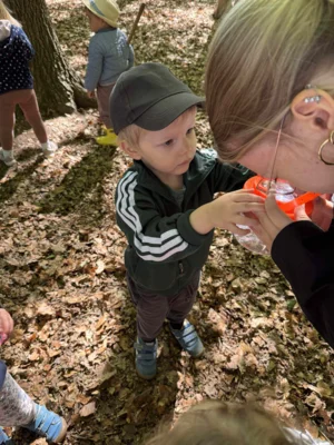 Foto des Albums: Waldtage 2026