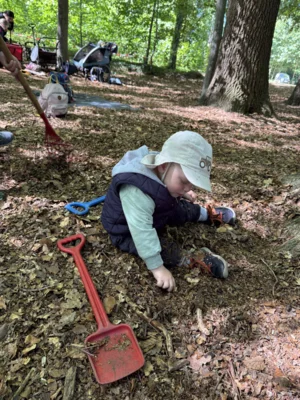 Foto des Albums: Waldtage 2026