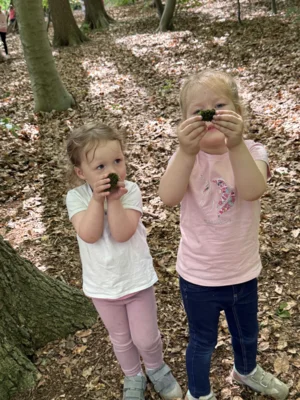 Foto des Albums: Waldtage 2026