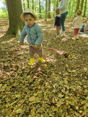 Foto des Albums: Waldtage 2026