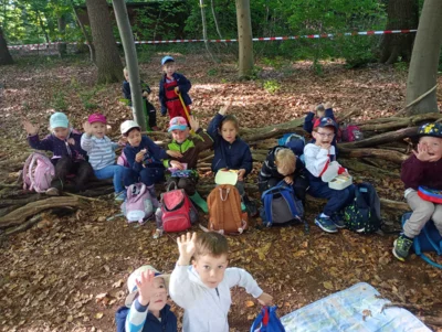 Foto des Albums: Waldtage 2026