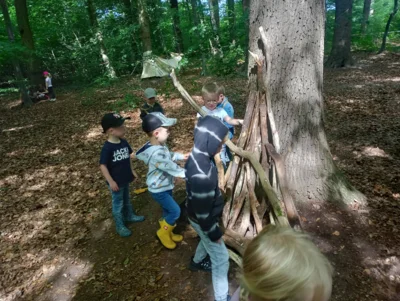 Foto des Albums: Waldtage 2026
