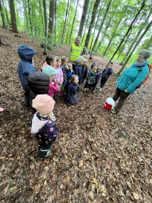 Foto des Albums: Waldtage 2026