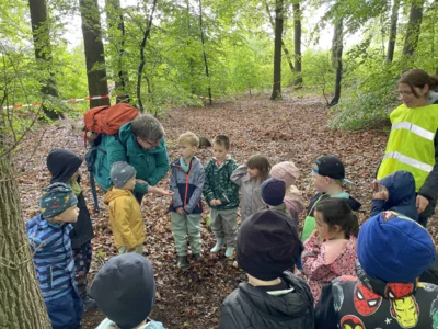 Waldtage-Maeusegruppe 8376 