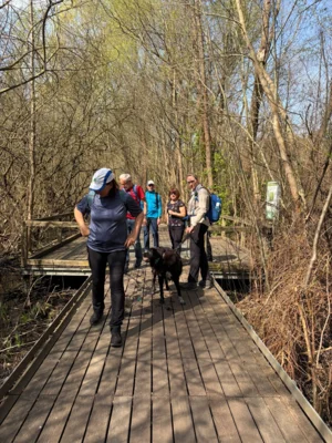 Foto des Albums: Wanderung Tegeler Fließ und Eichwerder Moorwiesen