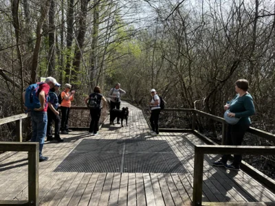 Foto des Albums: Wanderung Tegeler Fließ und Eichwerder Moorwiesen
