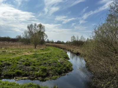 Foto des Albums: Wanderung Tegeler Fließ und Eichwerder Moorwiesen