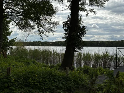 Foto des Albums: Wanderung Tegeler Fließ und Eichwerder Moorwiesen