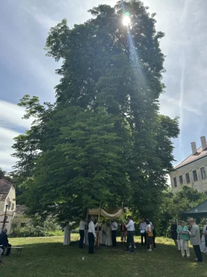 Foto des Albums: Fronleichnam 2026