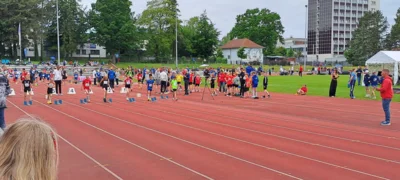 IMG-20260531-WA0012  (Bild vergr&ouml;&szlig;ern)