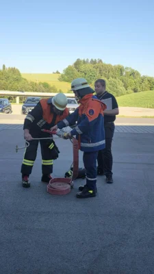 Foto des Albums: Leistungsabzeichen 