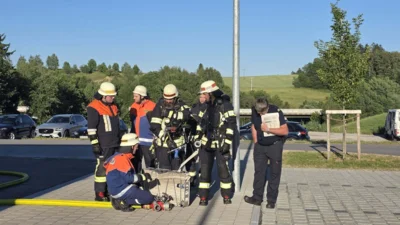 Foto des Albums: Leistungsabzeichen 