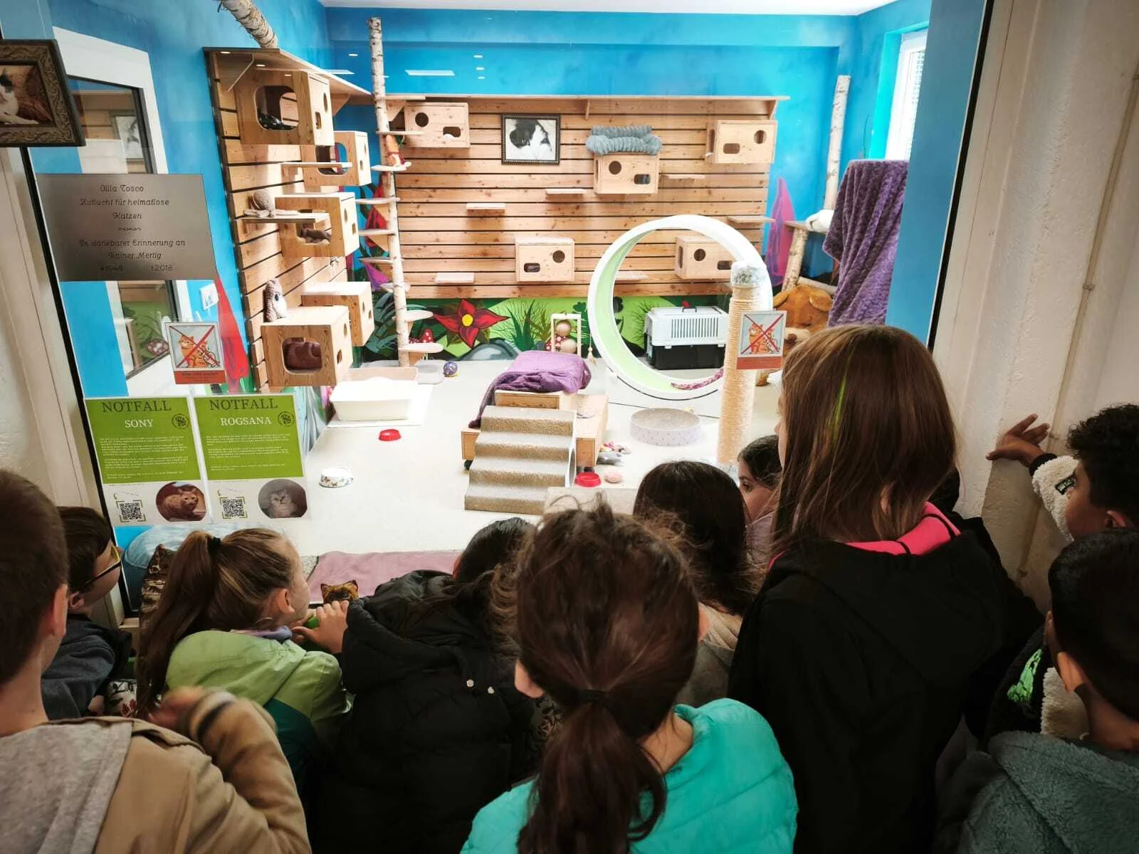 Bild der Galerie