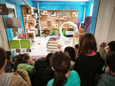 Vorschaubild der Galerie
