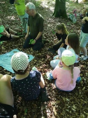 Foto des Albums: Waldtage 2026
