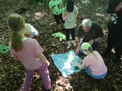 Foto des Albums: Waldtage 2026