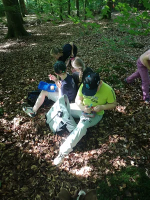 Foto des Albums: Waldtage 2026