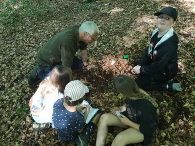 Foto des Albums: Waldtage 2026