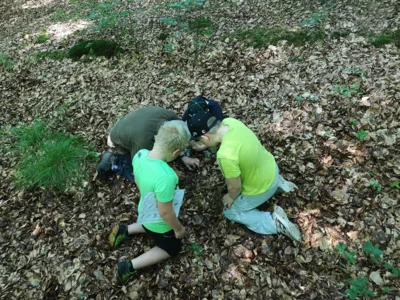 Foto des Albums: Waldtage 2026