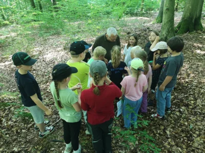 Foto des Albums: Waldtage 2026