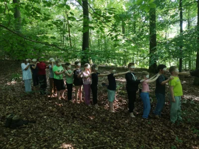 Foto des Albums: Waldtage 2026