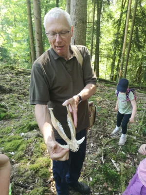 Foto des Albums: Waldtage 2026