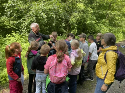 Foto des Albums: Waldtage 2026