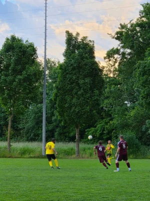 Foto des Albums: 10.06.2026 Ü32 Nachholspiel SV Waßmannsdorf gegen MSV Zossen