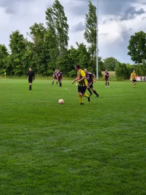 Foto des Albums: 10.06.2026 Ü32 Nachholspiel SV Waßmannsdorf gegen MSV Zossen