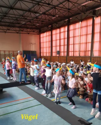 Foto des Albums: Das Trommelfest der Tiere