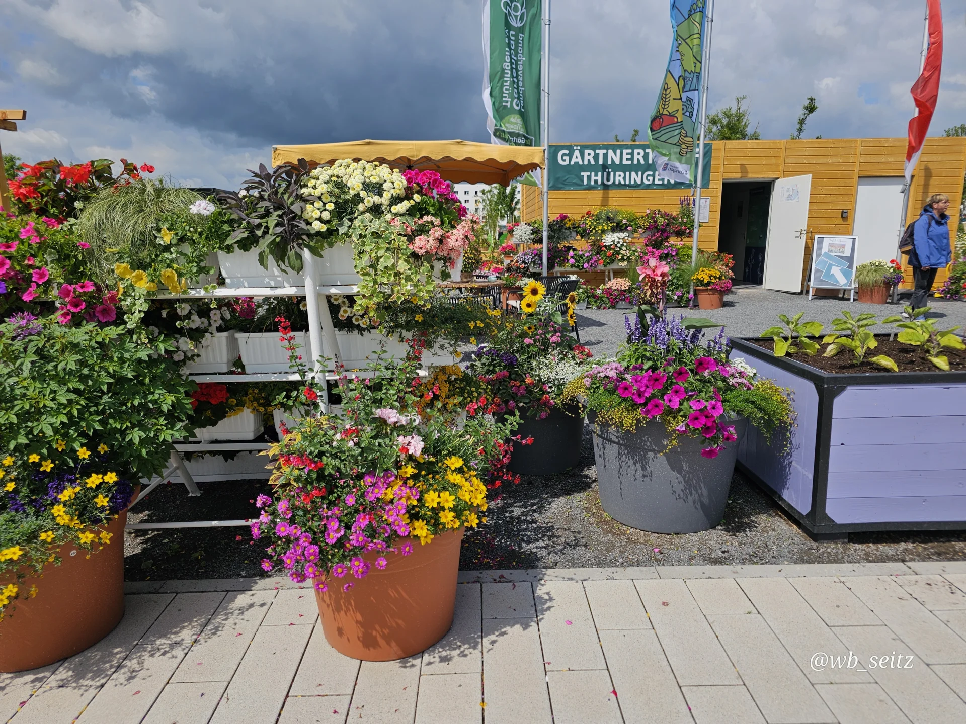 Bild der Galerie