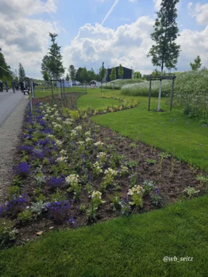 Foto des Albums: Leinefelde-Worbis