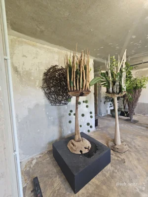 Foto des Albums: Leinefelde-Worbis