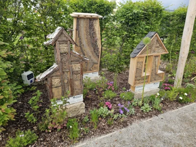 Foto des Albums: Leinefelde-Worbis