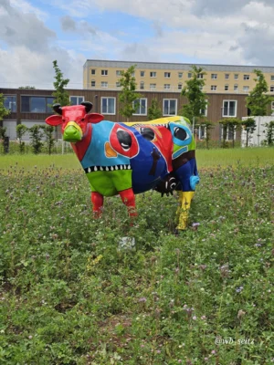 Foto des Albums: Leinefelde-Worbis