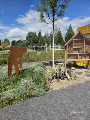 Foto des Albums: Leinefelde-Worbis