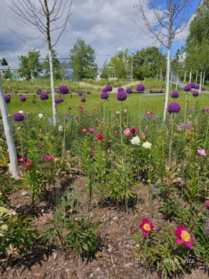 Foto des Albums: Leinefelde-Worbis