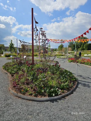 Foto des Albums: Leinefelde-Worbis