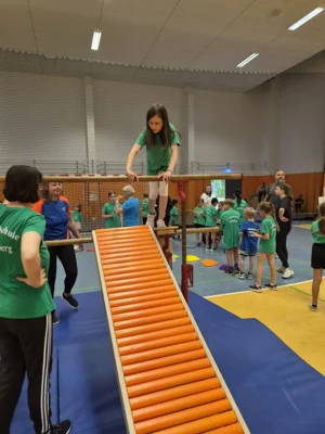 Foto des Albums: 2. Inklusionssportfest
