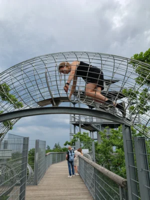 Foto des Albums: Ausflug der Kreisjugend 2026