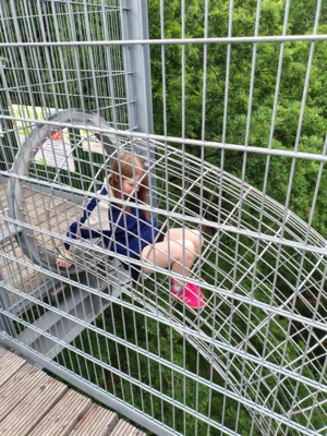 Foto des Albums: Ausflug der Kreisjugend 2026