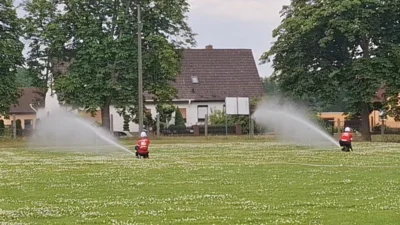 Foto des Albums: 2. Bekemühlenpokal Dannenwalde