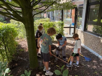 Foto des Albums: Pflanzaktion der Klasse 4a