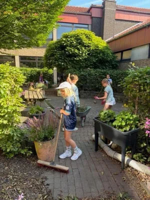Foto des Albums: Pflanzaktion der Klasse 4a