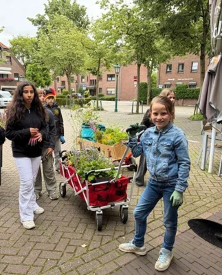 Foto des Albums: Pflanzaktion der Klasse 4a