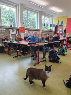 Foto des Albums: Haustiere hautnah erleben