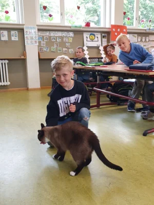 Foto des Albums: Haustiere hautnah erleben