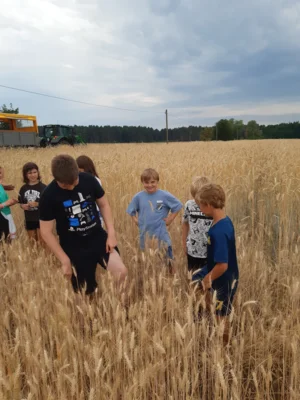 Foto des Albums: Projekttag in Kade
