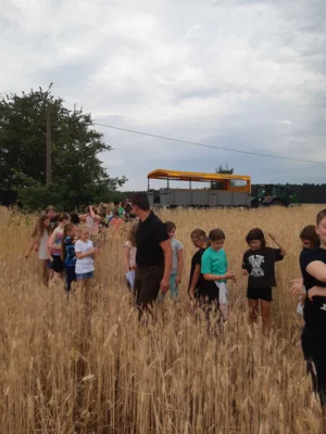 Foto des Albums: Projekttag in Kade