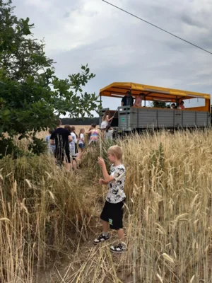 Foto des Albums: Projekttag in Kade